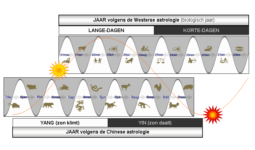 figuur met de westerse en oosterse maanden
